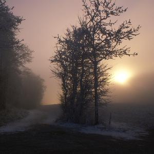 宋雨琦被❌吸乳羞羞视频
